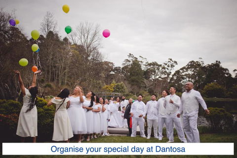 Dantosa Blue Mountains Retreat - Maitland Accommodation 5