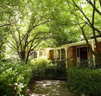 Leura Camellias - Maitland Accommodation