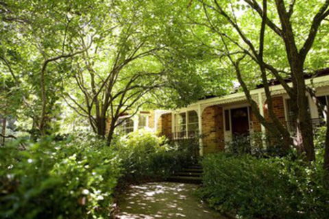 Leura Camellias - Maitland Accommodation 0