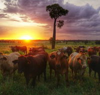 Myella Farm Stay - Maitland Accommodation