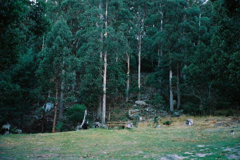Base Camp Tasmania - Maitland Accommodation 7