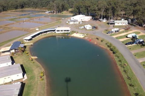 Australian Motor Homes Tourist Park - Maitland Accommodation 2