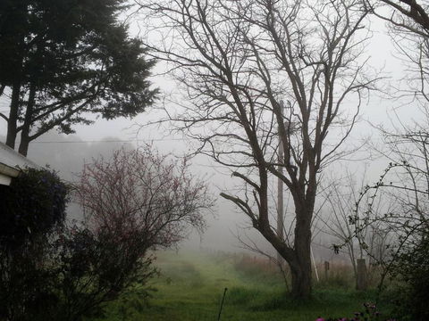 Brookvale House Balingup - Maitland Accommodation 3