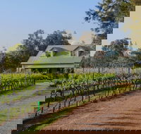 Emmas Cottage Vineyard - Maitland Accommodation