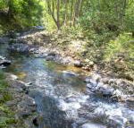 Tallaringa Views - Maitland Accommodation