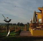 Art at Linden Gate - Maitland Accommodation