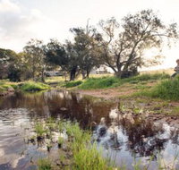 Northbrook Farmstay - Maitland Accommodation
