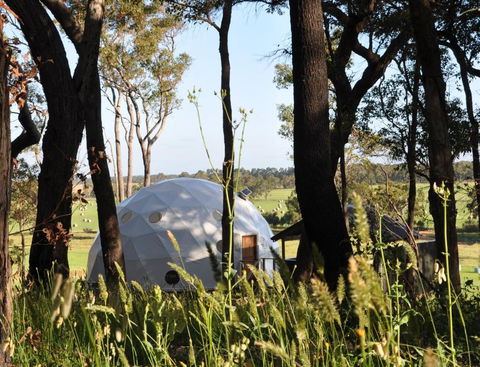 Mile End Glamping Pty Ltd - Maitland Accommodation 2