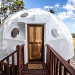 Mile End Glamping Pty Ltd - Maitland Accommodation 0