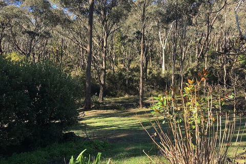 The Kitchen Cottage - Maitland Accommodation 3