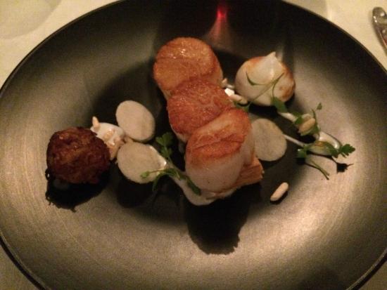 Pubs Mollymook NSW Maitland Accommodation