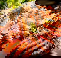 Table 30 - Maitland Accommodation