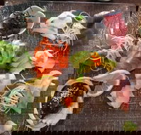 Toshi's Japanese Restaurant - Maitland Accommodation