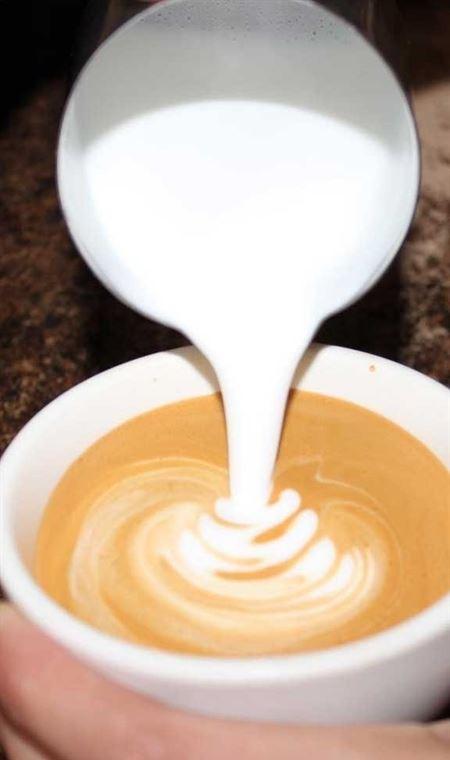 LV's On Clarence - Maitland Accommodation 4