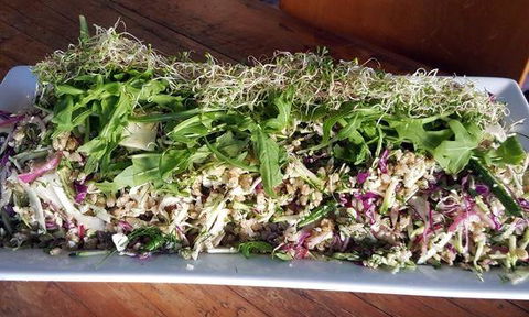 Top Pub Bistro - Maitland Accommodation 4