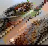 Bite Me Grill  Burger Bar