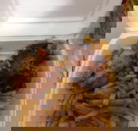 Royal Charcoal Chicken - Maitland Accommodation