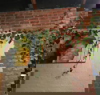 Imm Oon - Maitland Accommodation