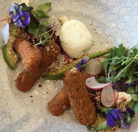 Round Bird Can't Fly - Maitland Accommodation