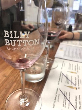 Billy Button Cellar Door - Maitland Accommodation 0