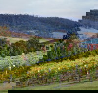 De Bortoli Winery  Restaurant - Maitland Accommodation