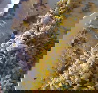 Horsham Masala Indian Restaurant - Maitland Accommodation