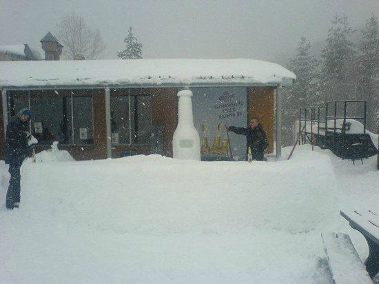 Nelse VIC Maitland Accommodation