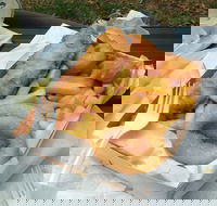 Lang Lang Fish Chips  Pizza - Maitland Accommodation