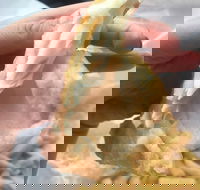 Coleraine Milk Bar - Maitland Accommodation