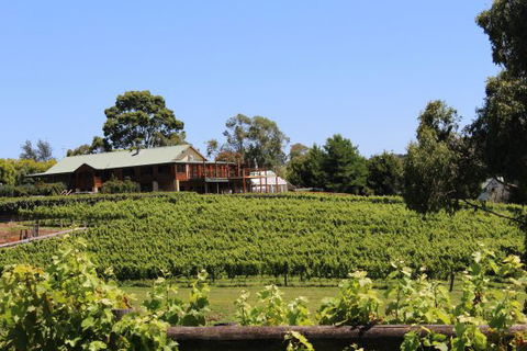 Djinta Djinta Winery - Maitland Accommodation 0