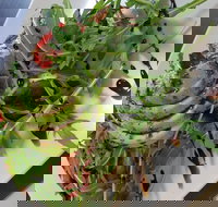 DeliLicious Bundanoon - Maitland Accommodation