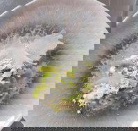 Hampden Deli Dining and School