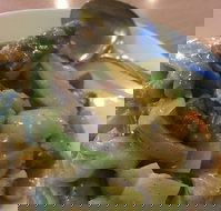 Panda at Morisset - Maitland Accommodation