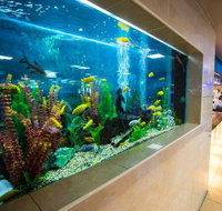 Swansea Workers Club - Maitland Accommodation