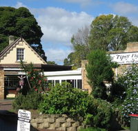 Tipsy Fig - Maitland Accommodation