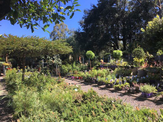 Yatte Yattah NSW Maitland Accommodation