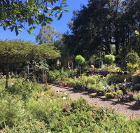 Yatte Yattah Nursery  Cafe - Maitland Accommodation