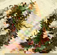 La Piazza - Maitland Accommodation