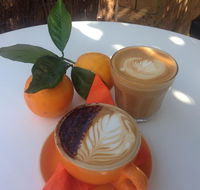 The Orange Tree - licensed cafe by the river - Maitland Accommodation