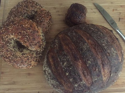 Iggy's Bread - Maitland Accommodation 0