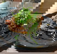 22 Grams Espresso - Maitland Accommodation