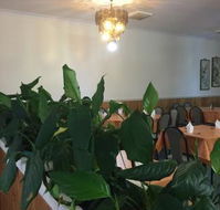 Emerald Lantern Chinese Restaurant - Maitland Accommodation