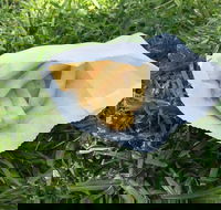 KFC - Maitland Accommodation