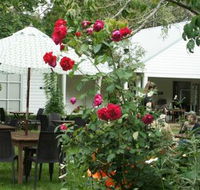 Sturt Coffee - Maitland Accommodation