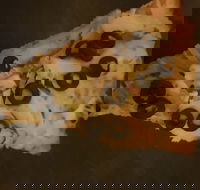 Zannies Pizzas - Maitland Accommodation