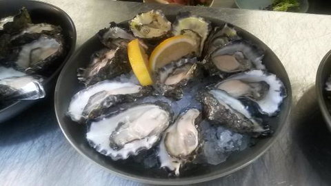 Hamilton's Oyster Bar - Maitland Accommodation 0