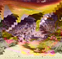 The Box Factory - Maitland Accommodation