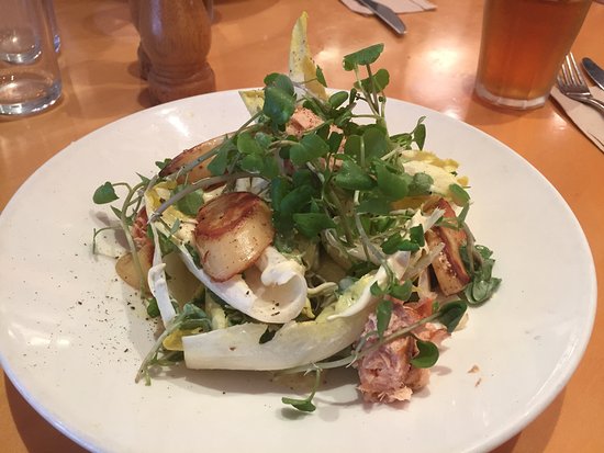 Mcleods Shoot NSW Maitland Accommodation