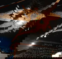 Blackfish Cafe - Maitland Accommodation