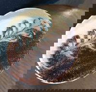 Gloria Jeans - Maitland Accommodation